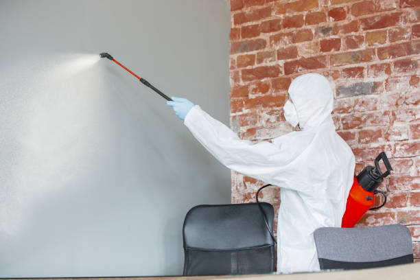Professional Mold Removal in Two Harbors, MN