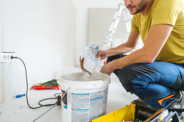 Best Mold Remediation for Healthcare Facilities  in Two Harbors, MN