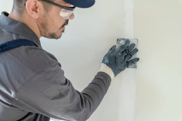 Best Crawl Space Mold Remediation  in Two Harbors, MN
