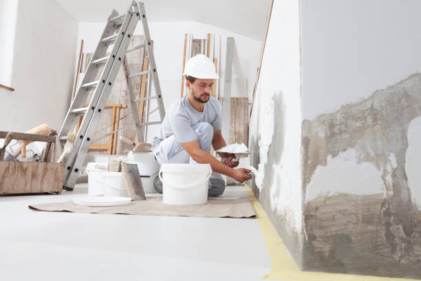 Best Mold Documentation for Insurance Claims  in Two Harbors, MN