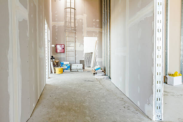 Best Forensic Mold Investigation  in Two Harbors, MN