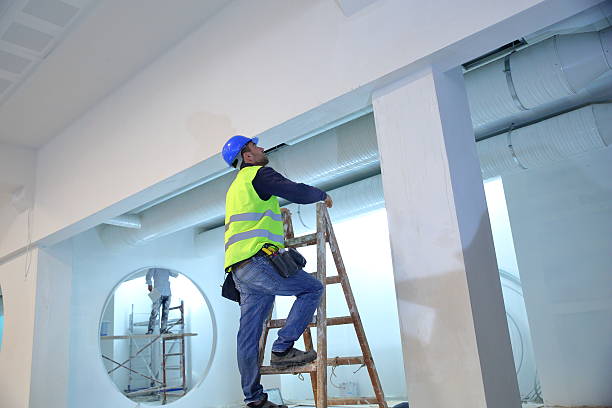 Best Water Damage & Mold Remediation  in Two Harbors, MN