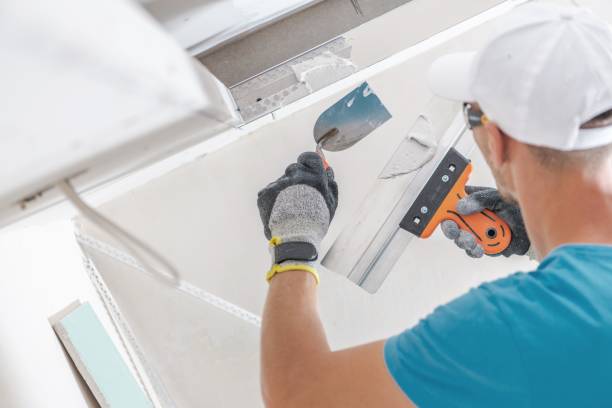Best Mold Prevention Services  in Two Harbors, MN